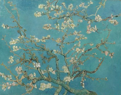 アーモンドの花