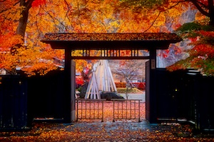 角野デート