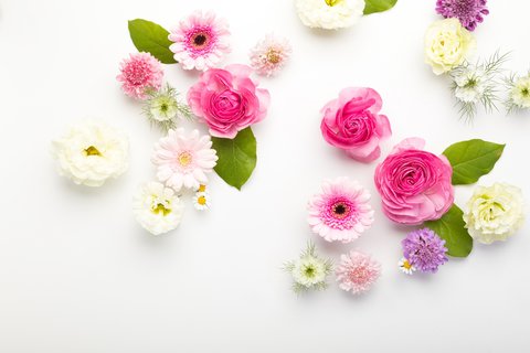 白い背景に散らしたピンクと白のお花のストック