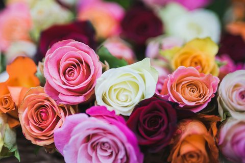 様々な色のバラの花