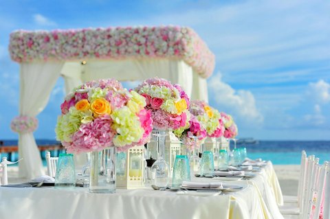 昼間の青い空の下、海の近くのテーブルの上の黄色とピンクの花びらの花